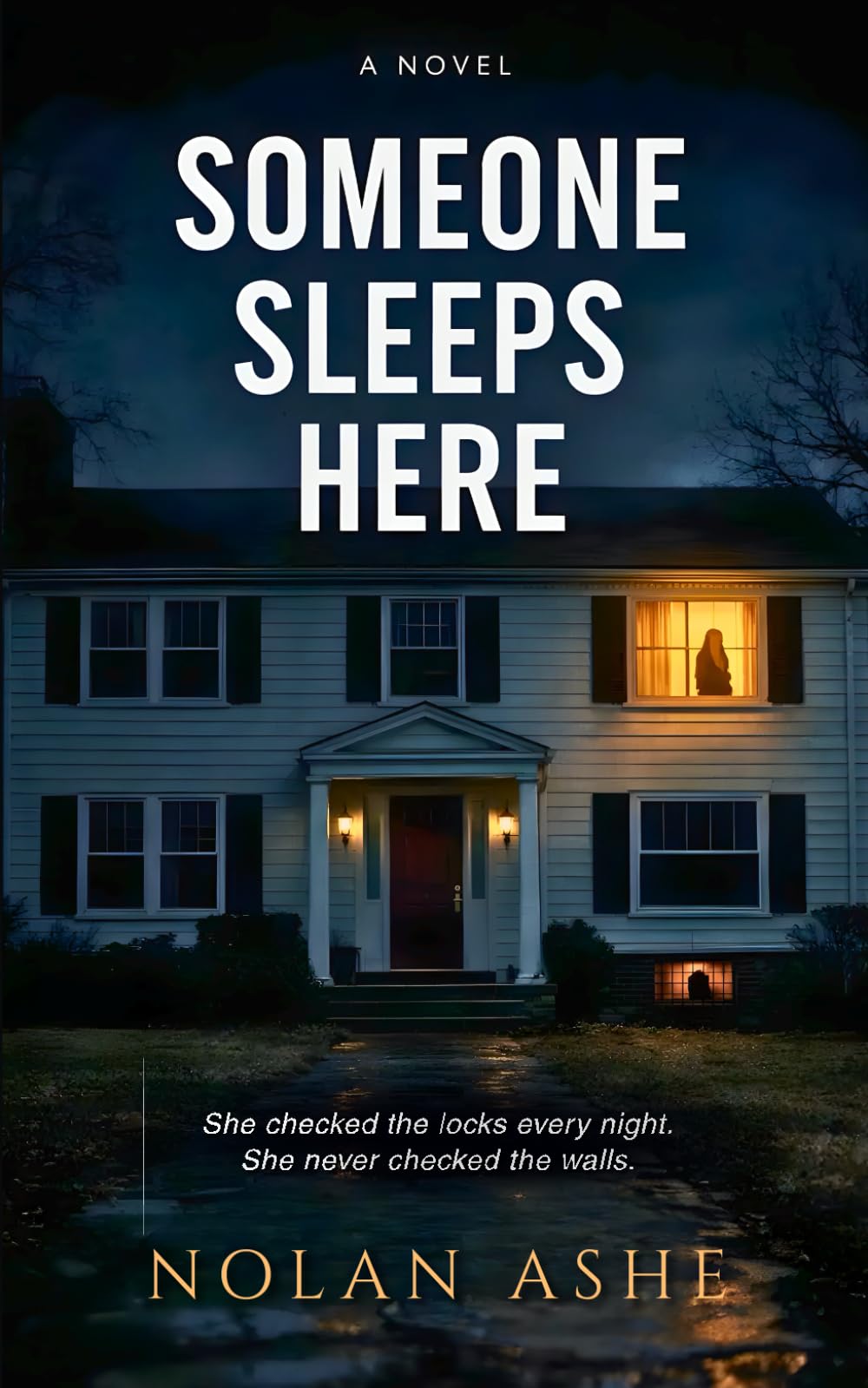Someone Sleeps Here: A Domestic Thriller (The Nolan Ashe Collection)