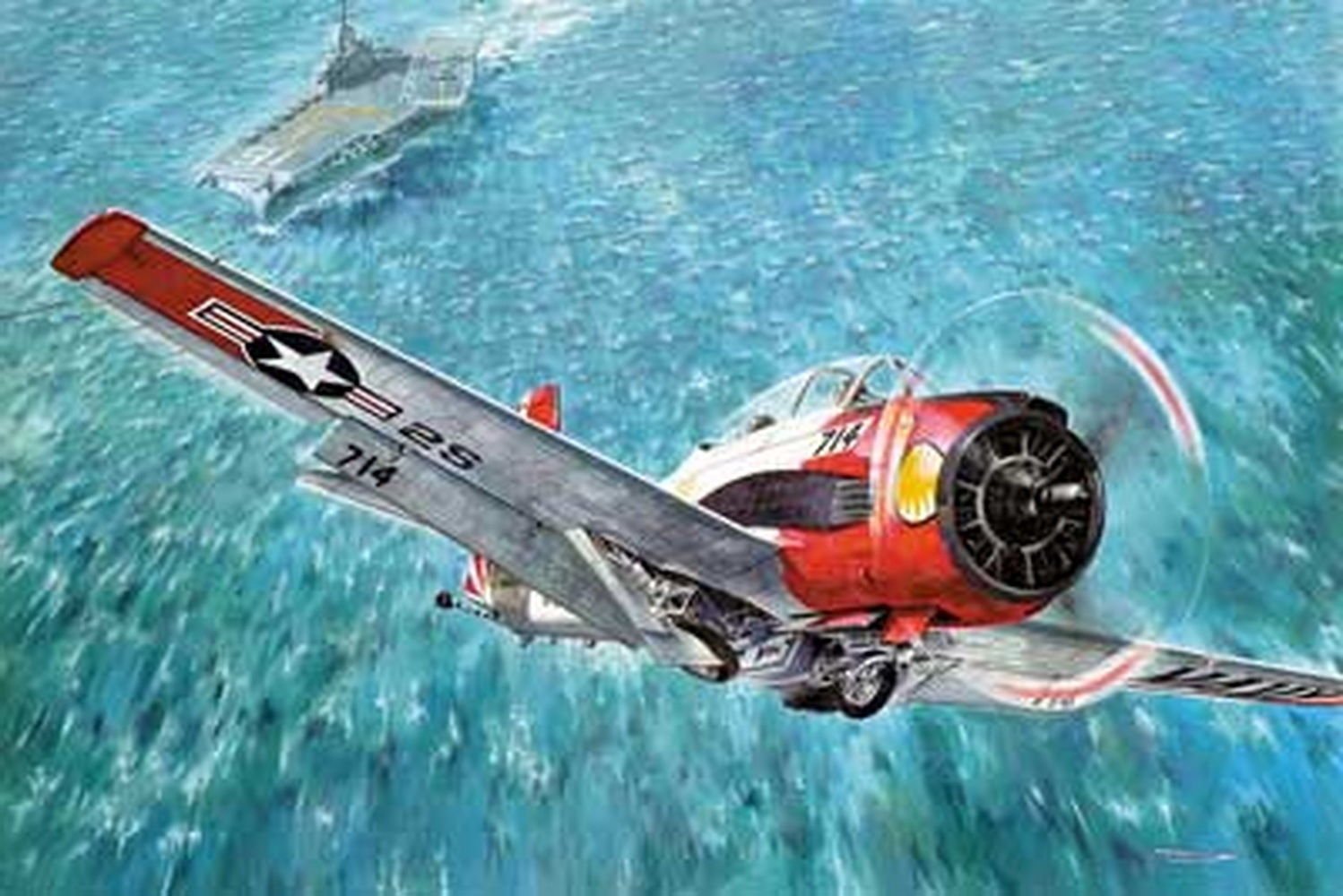 Amazon.com: RODEN North American T-28C Trojan 1/48 451 : Arts