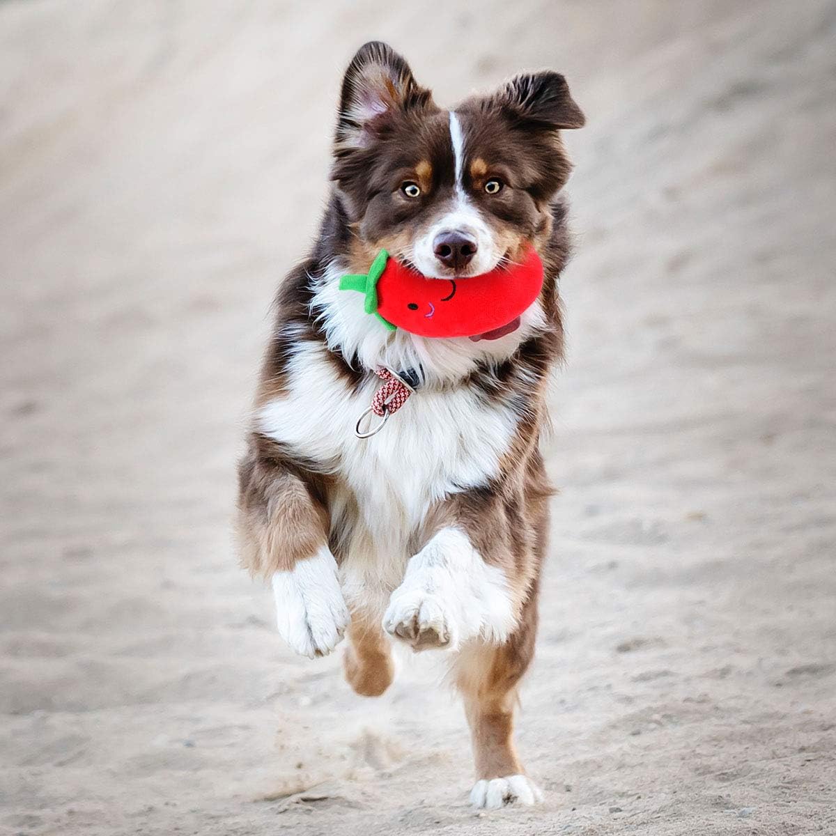 VILLCASE Dog Squeaky Toy, Puppy Chew Toys Pet Teeth Training Toys Stuffed Interactive Pet Toy - Image 3