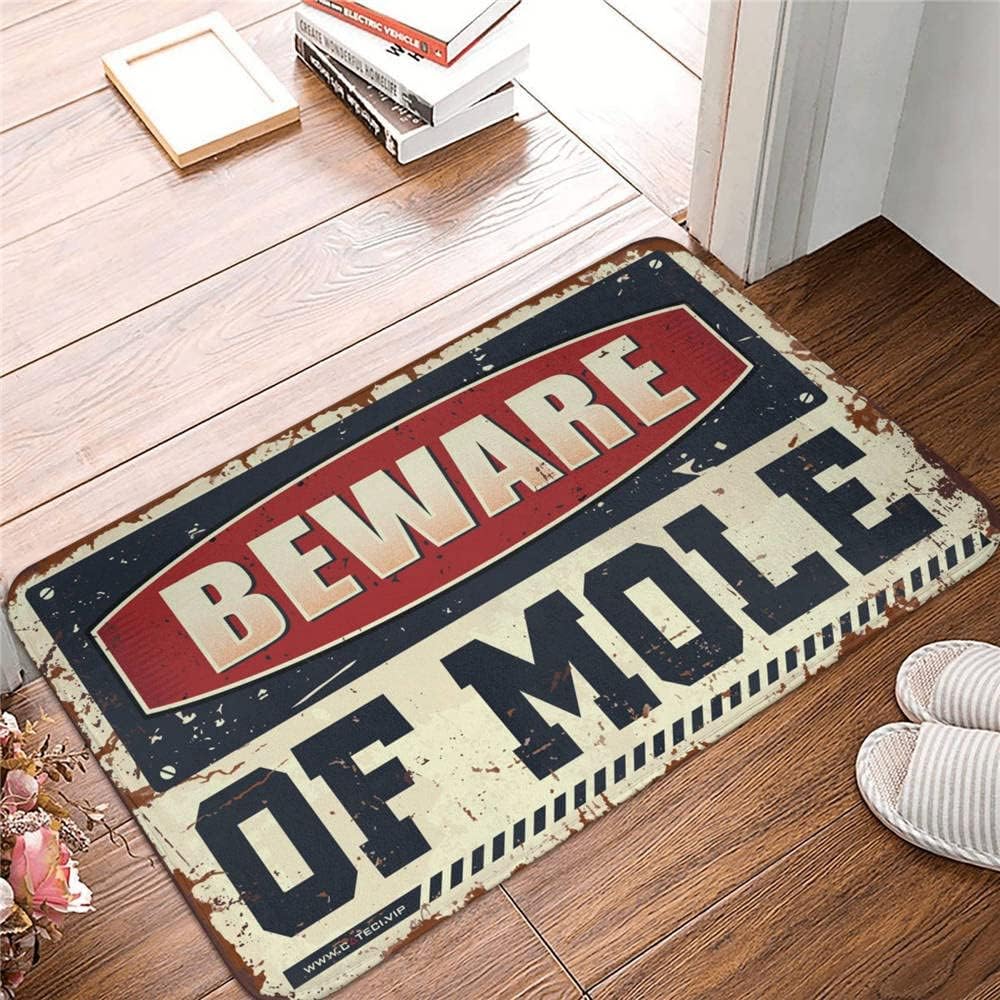 Doormats for Outdoor Entrance Home Funny Beware of Mole Rug Outdoor Bar Accessories Decor Spring Porch Decor(65X90CM)