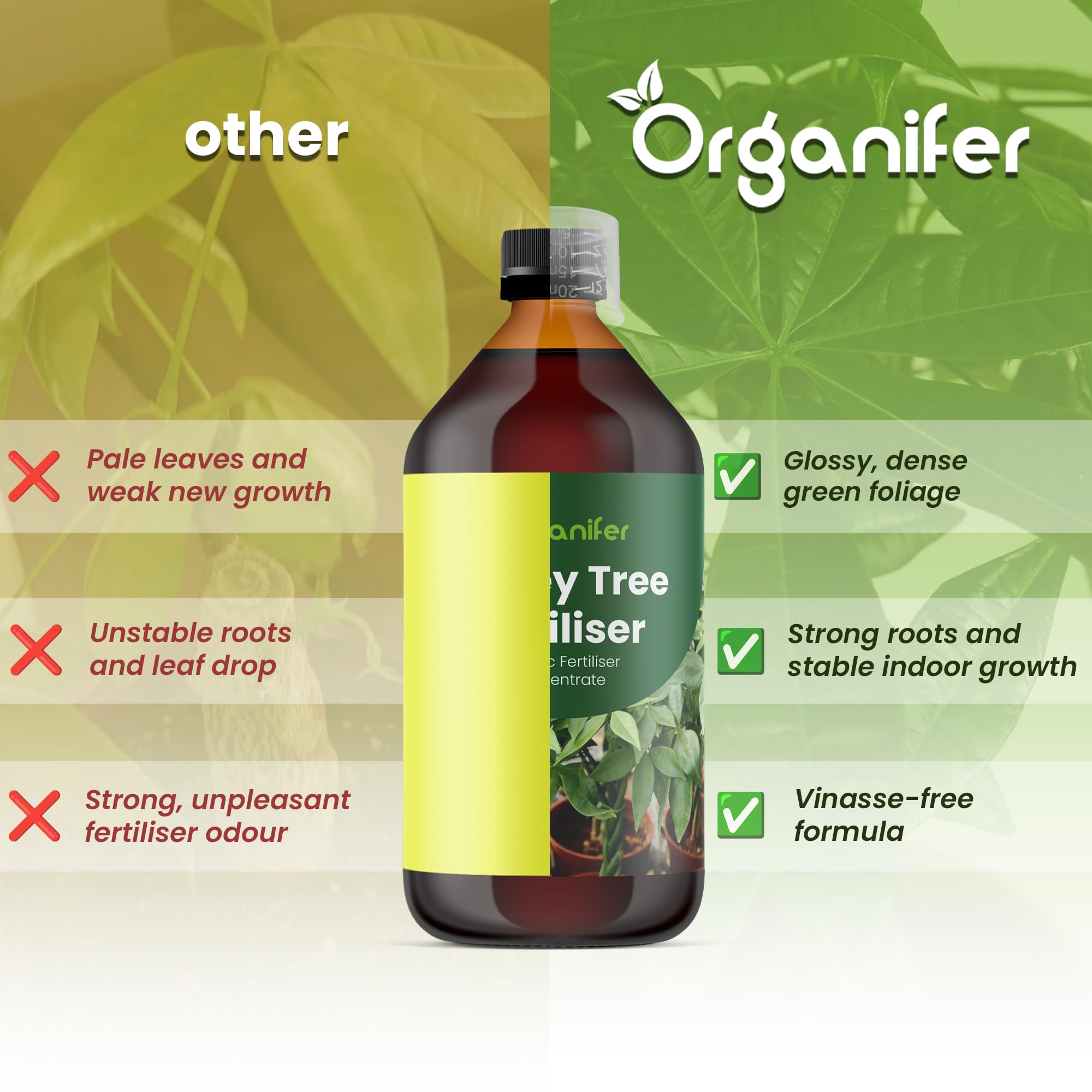 Fertilizzante liquido organico 1L per albero dei soldi – piante forti e fogliame rigoglioso – Organifer