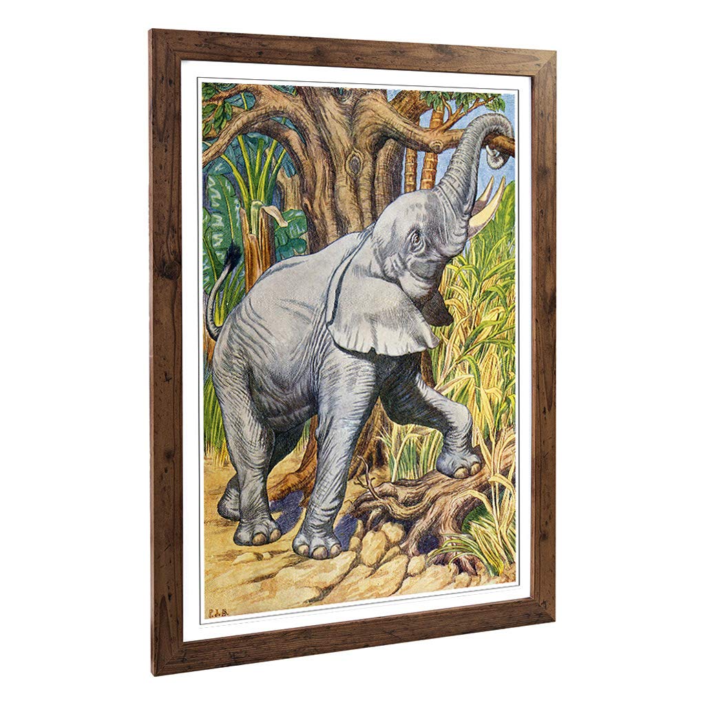 Big Box Art Framed Print of Vintage Percy J Billinghurst African Elephant Design | Wall Art Picture| Home Decor for Kitchen, Living Room, Bedroom, Hallway, Walnut, A2 / 24.5x18 Inch / 62x45cm