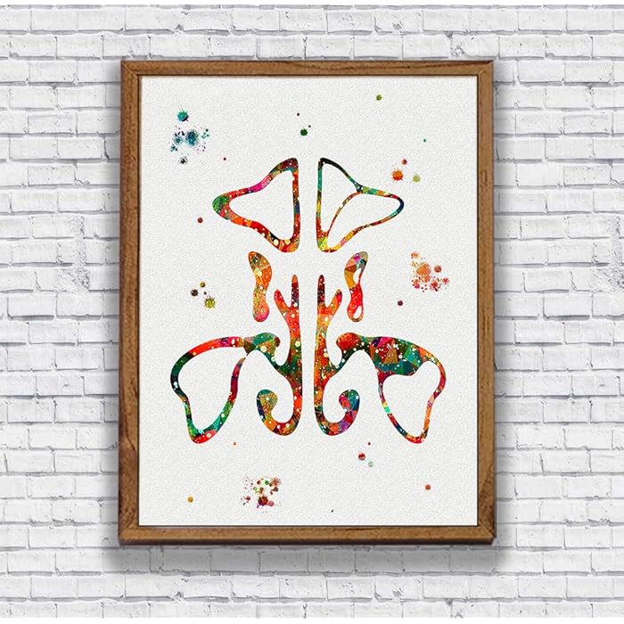 Buy Paranasal Sinus Watercolor Art Print Anatomy Wall Decor Sinuses