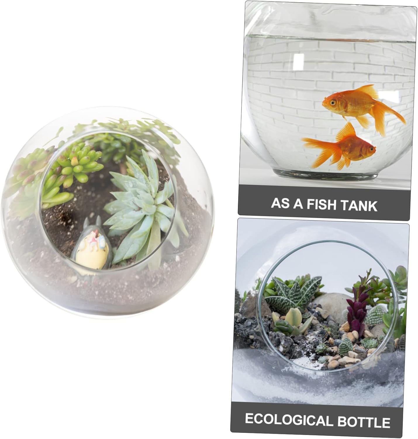 Glass Terrarium Globe for Microlandscape Decor High Transparency DIY Bottle Versatile Indoor Decoration for Moss Succulents and Creative Plant Arrangements