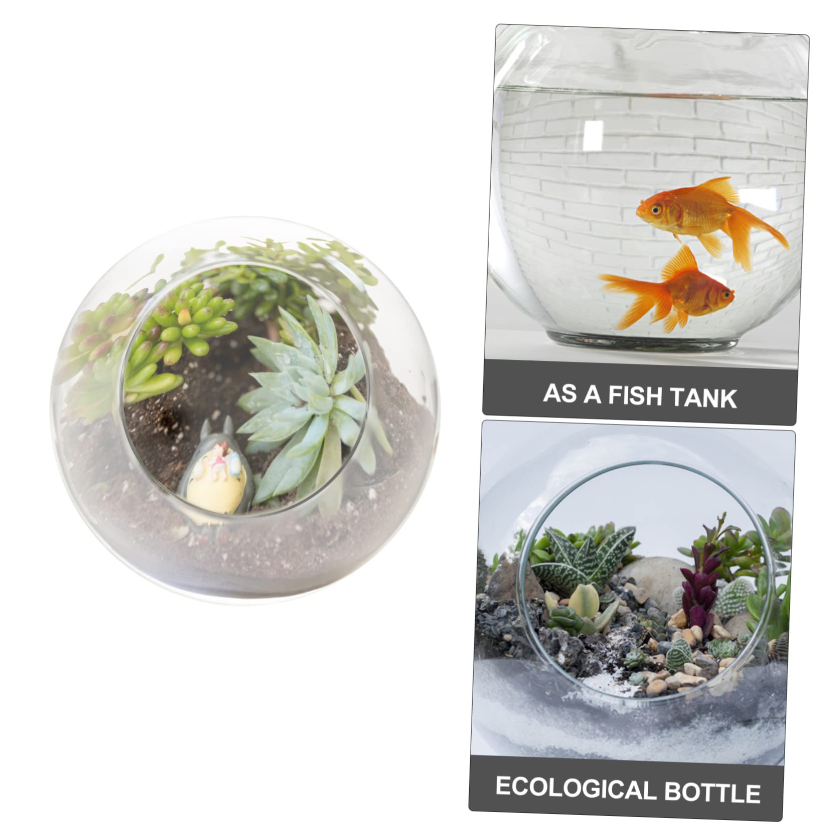 Toddmomy Terrarium in Vetro Trasparente a Bocca Obliqua, Vaso Decorativo Fai-da-te per Piante Grasse e Bromelie, Elegante per Matrimoni e Compleanni