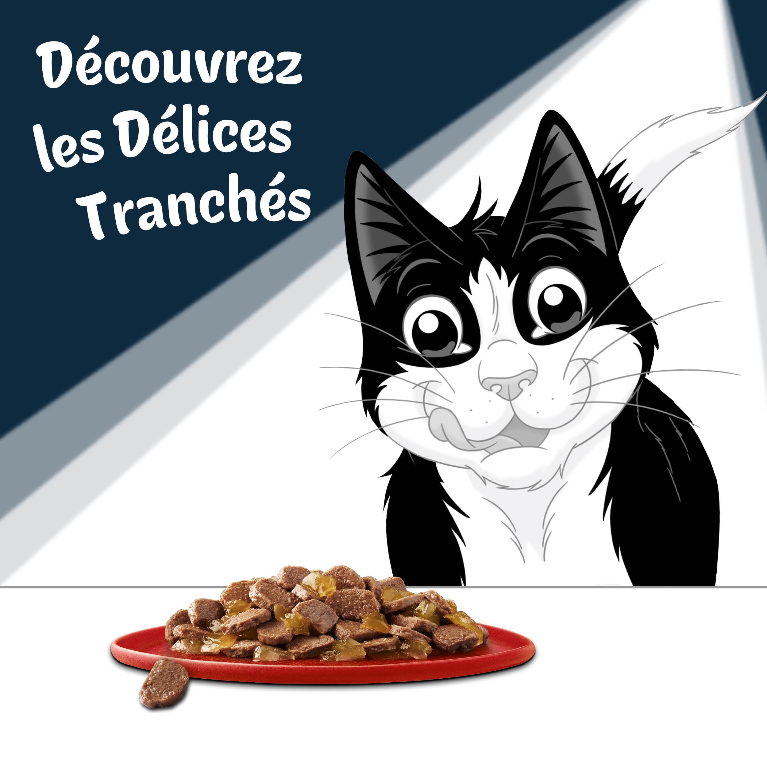 FELIX | Délices Tranchés | Sélection de la Campagne | En Gelée | Alimentation complète | Chat Adulte | au Poulet, Saumon, Cabillaud et Canard | Sachets Fraîcheurs | (12 x 85g)