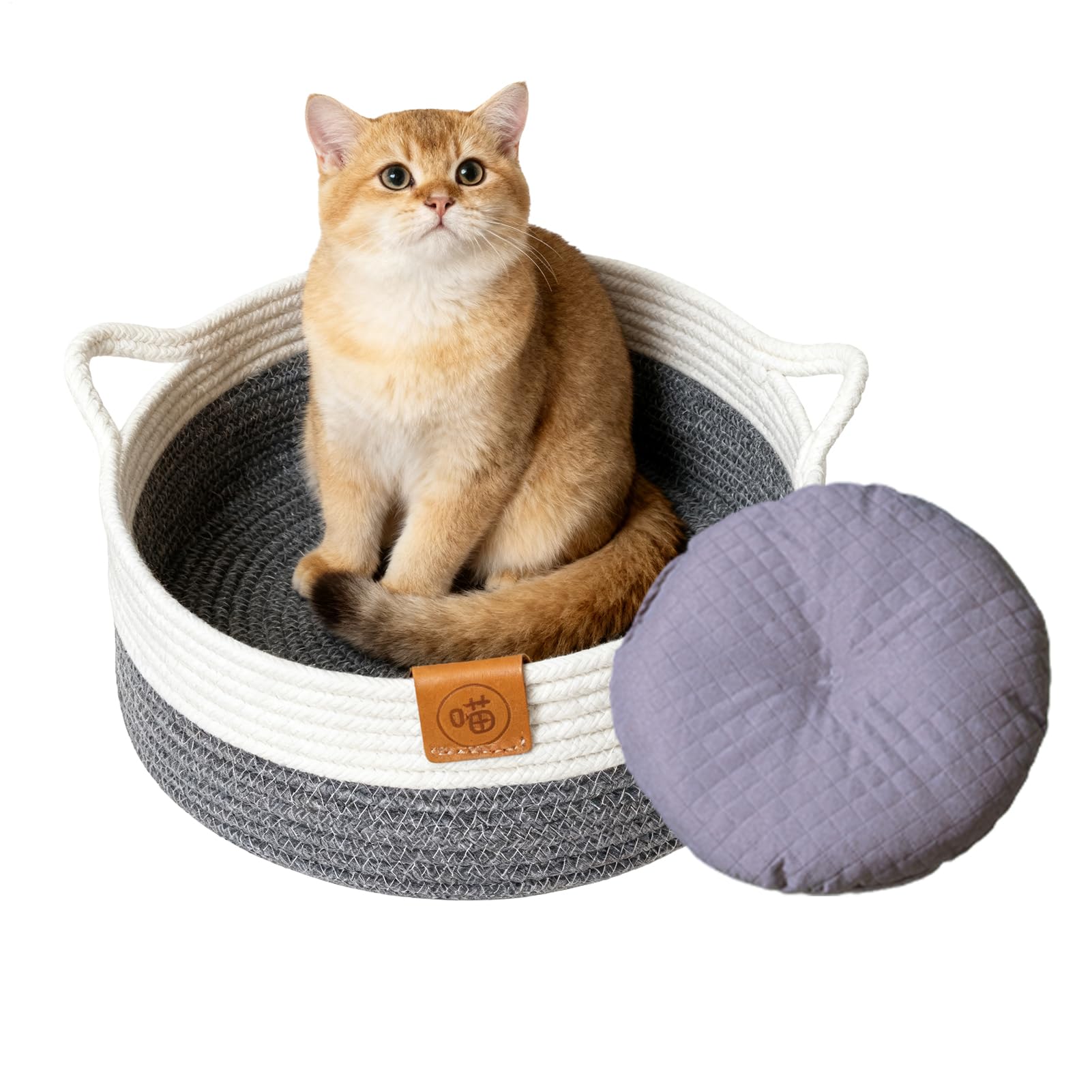 Panier pour chats mignon lit douillet pour offrir du bonheur à votre chaton