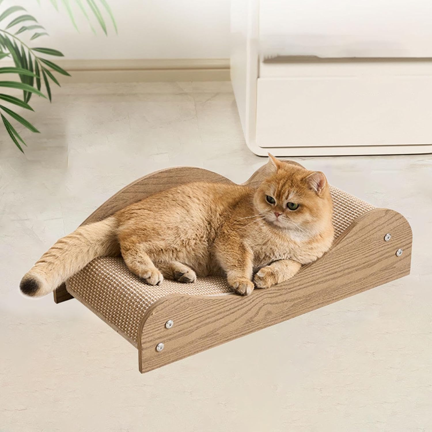Cat Scratcher Toy Interactive Toy Exercise Wood Entertaining Claw Sharpening for Indoor Cats Chinchilla Bunny Small Animals, Style A
