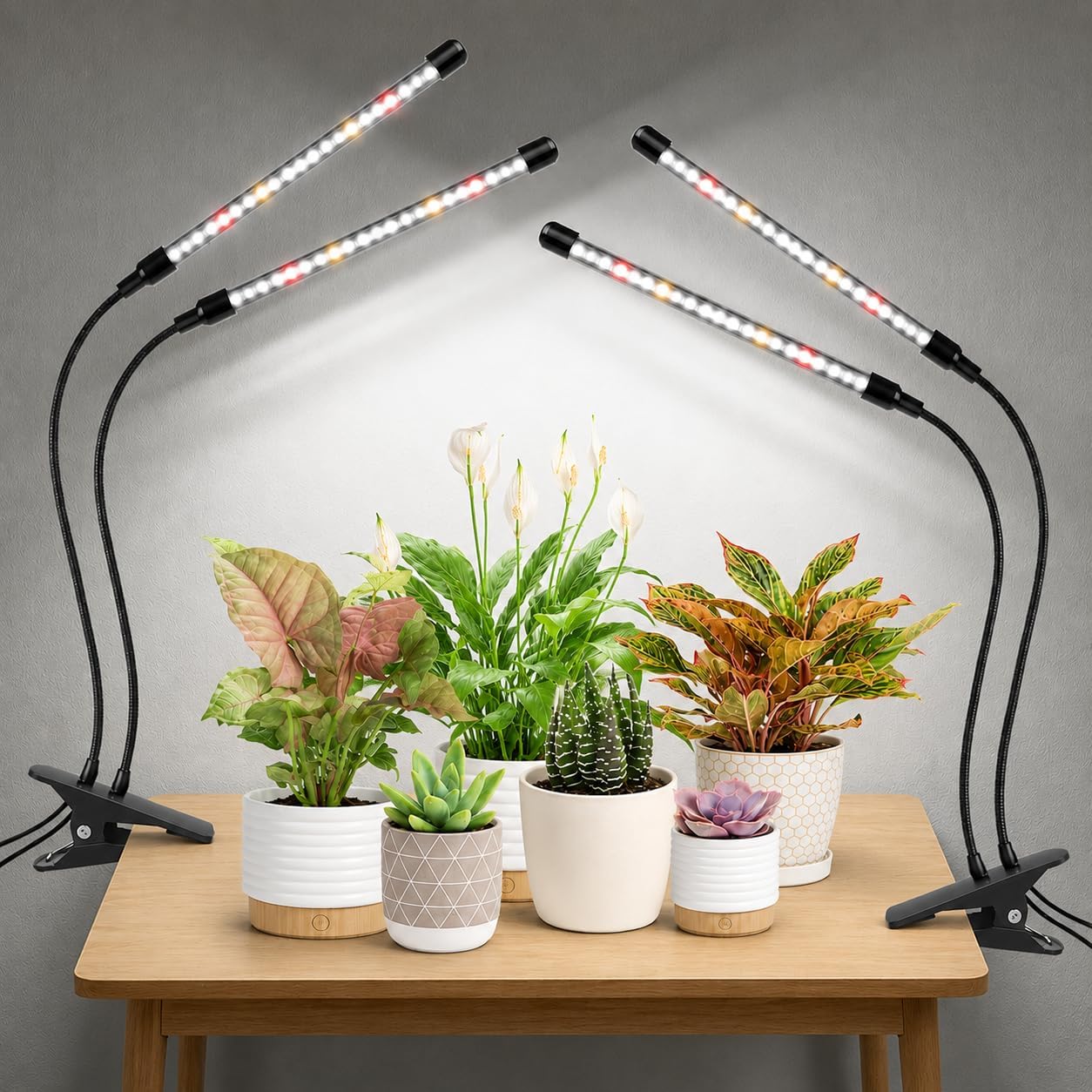 Wolezek Grow Light, Full Spectrum 6000K, Clip on Plant Lights Indoor | 2-Head Gooseneck Plant Lamp, 6/12/16H Auto Timer, 5-Level Dimming, 40 Red & White LEDs, for Seedlings, Indoor Growing, 2 Pack