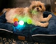 Review Image by Denise Kate Guider Denise Kate Guider