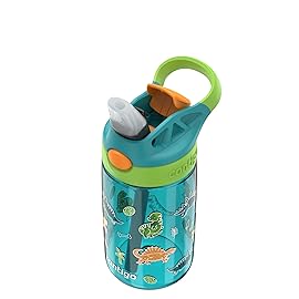 Contigo Aubrey Paw Patrol Leak-Proof Spill-Proof Water Bottle with Autospout, 14oz, Juniper (Dino GFX), Green and Blue