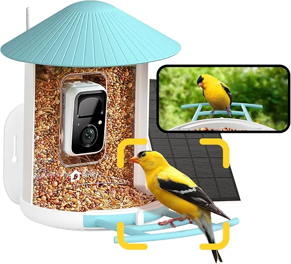 NETVUE by Birdfy Smart Bird Feeder with Camera – AI Identifies Birds Species 2MP Night Vision & App Alerts, 2.4Ghz Wi-Fi Connect IP65 Weatherproof Bird Camera-Gift for Backyard BirdWatchers,