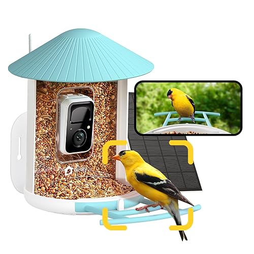 NETVUE by Birdfy Smart Bird Feeder with Camera – AI