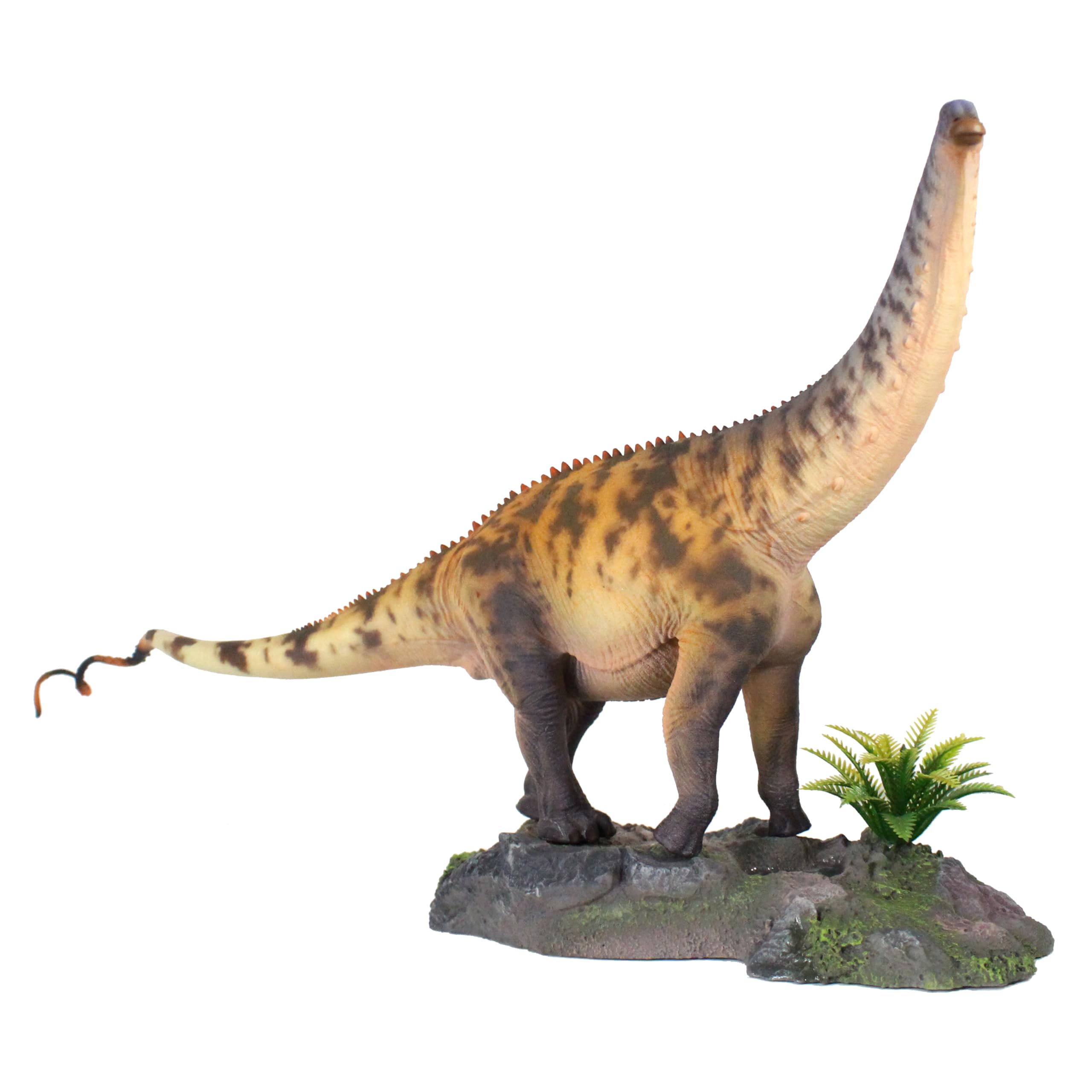 AMITD Nouveau Brontosaure 1:35 Science and Art Model (Xie Ying Deng)