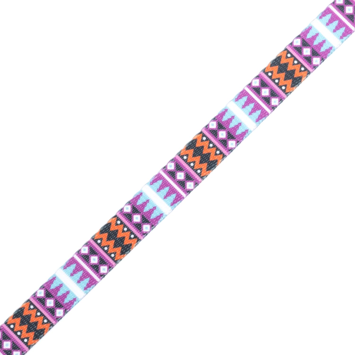 Country Brook Design - Santa Fe Polyester Webbing (2 Inch)