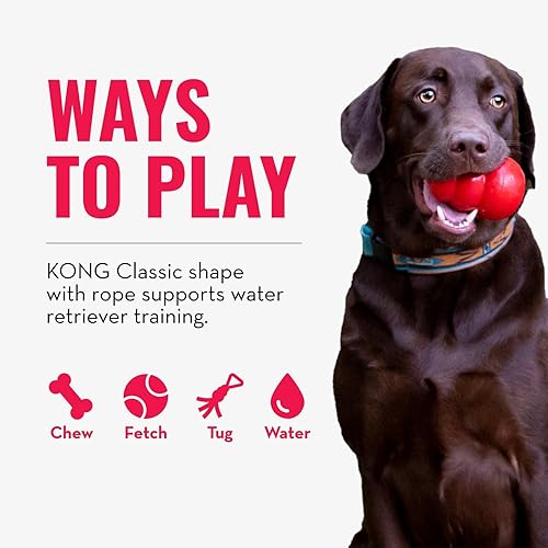 Miniatura 4 de KONG - Aqua - Juguete flotante para jugar al agua - para perros medianos