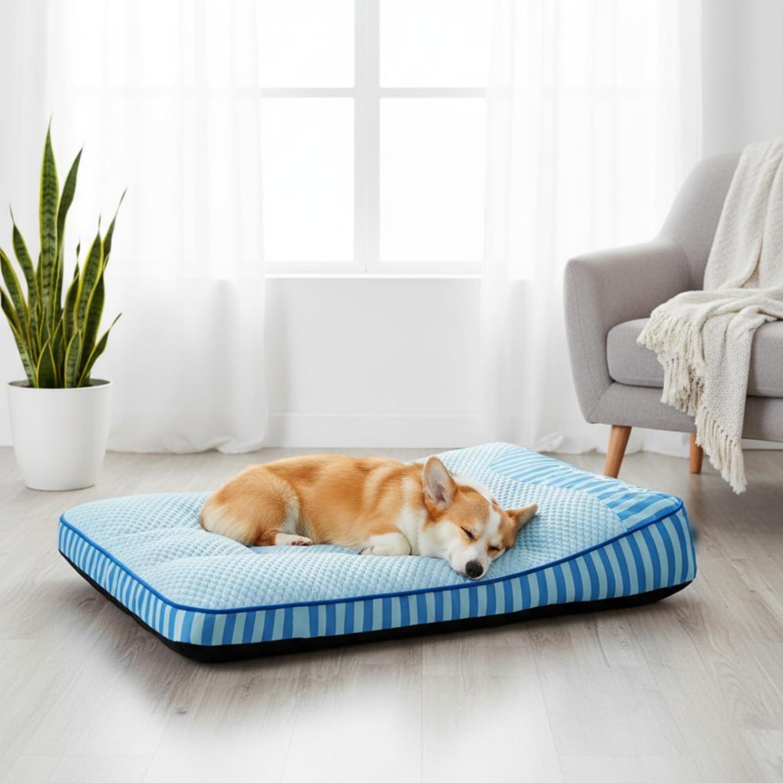 Colchoneta Fresco Relleno de Espuma Cama para Perros Lavable, Gris Plata, 2XL-120x95x15 Cm