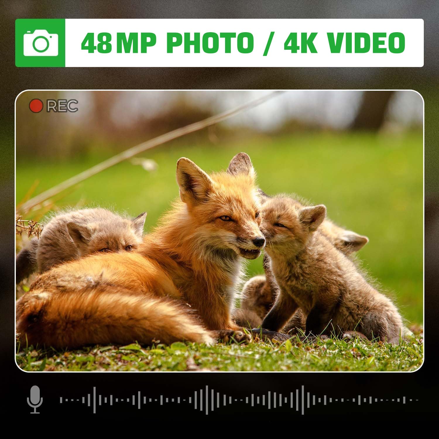 Coolifepro Wildkamera, 4K Video Wildtierkamera, 48MP Wildtierkamera mit Nachtsicht Bewegungsmelder, 35m Erfassungsbereich, IP66 Wasserdicht & 32GB SD Karte für Tierbeobachtung Sicherheitsüberwachung