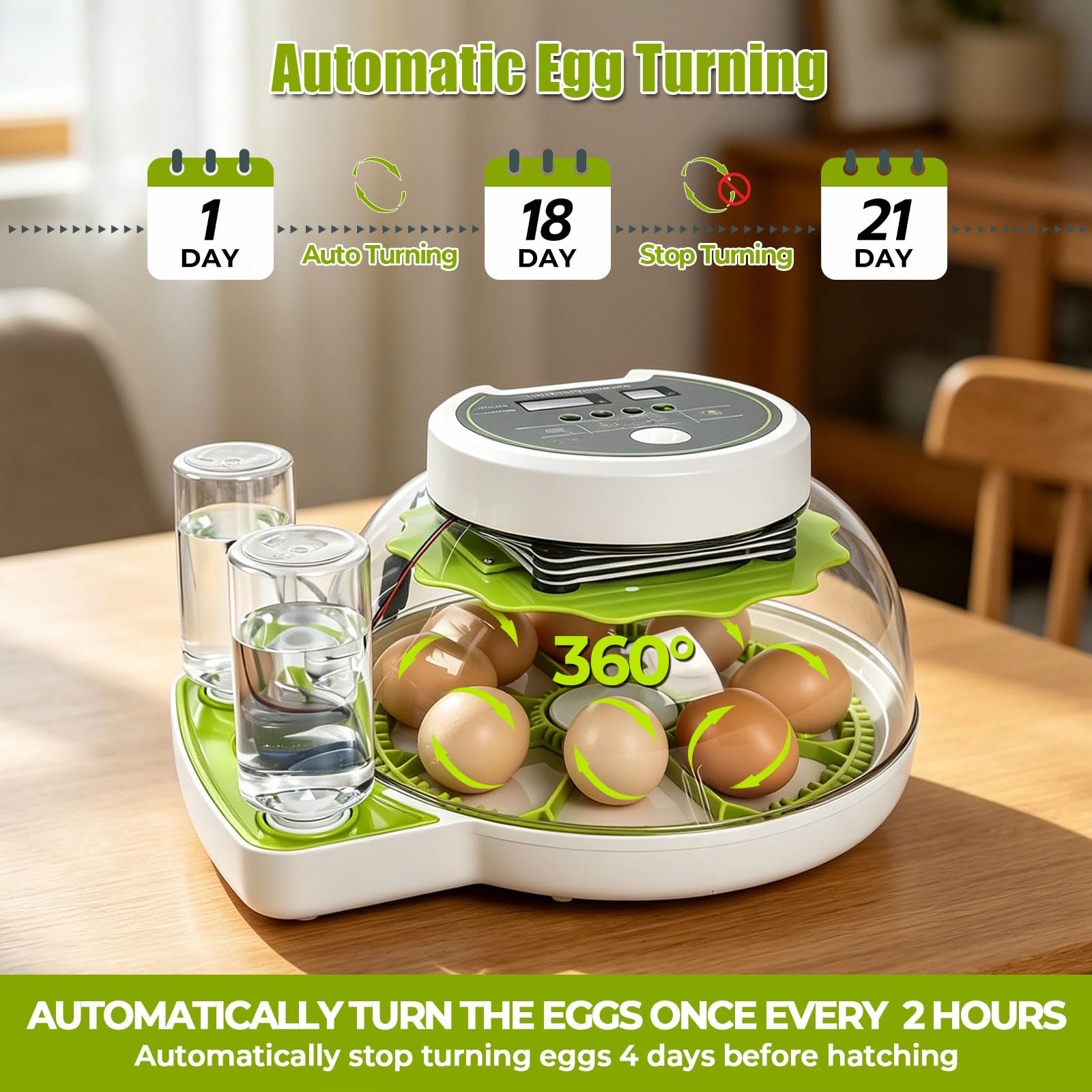 Incubadora para 8 huevos con giro automático, incubadora para incubar huevos con indicador de humedad, control de temperatura y llenado automático de agua para pollos, patos, codornices