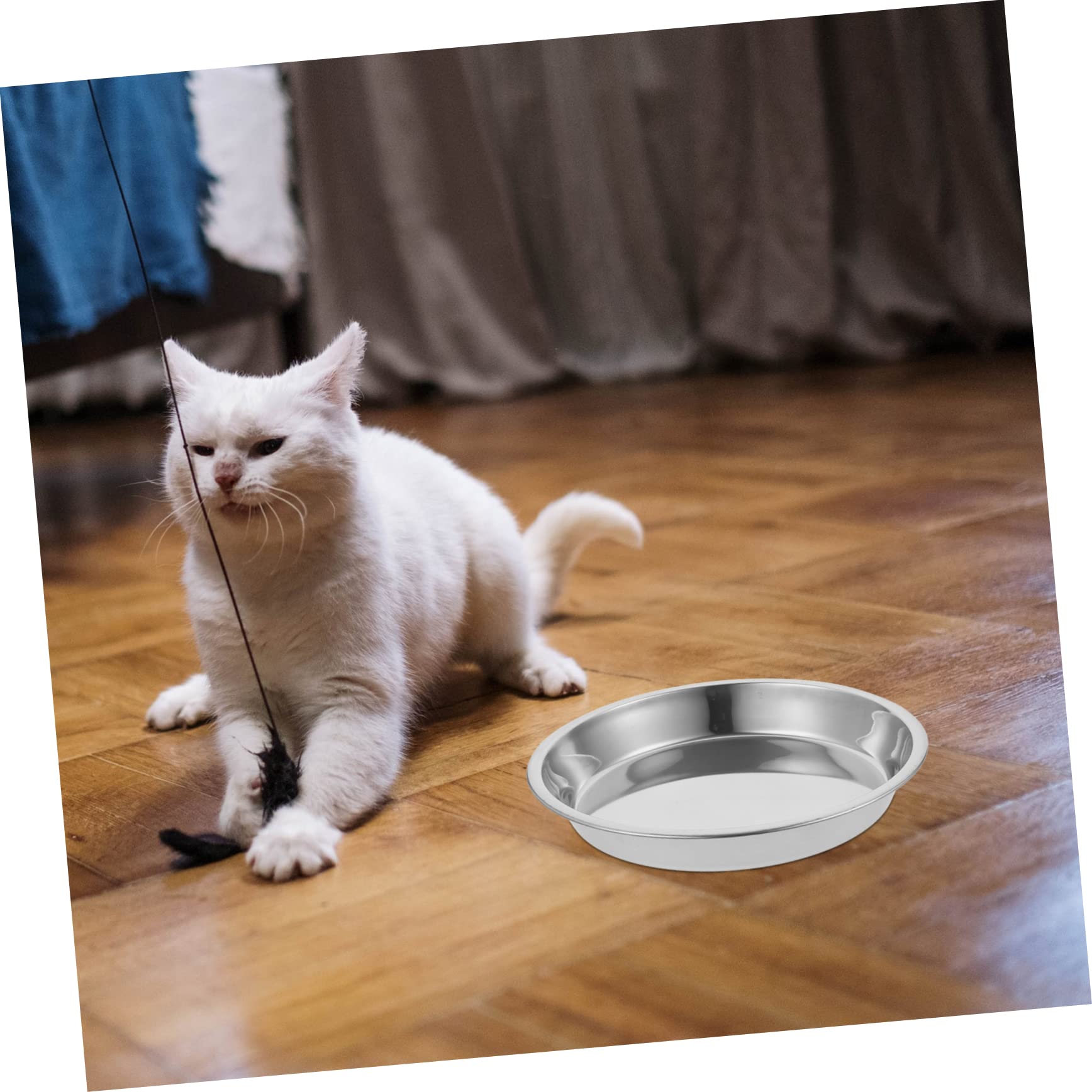 Edelstahl Katzennapf Groß, Flache Futterschale 4 Stück für Katzen