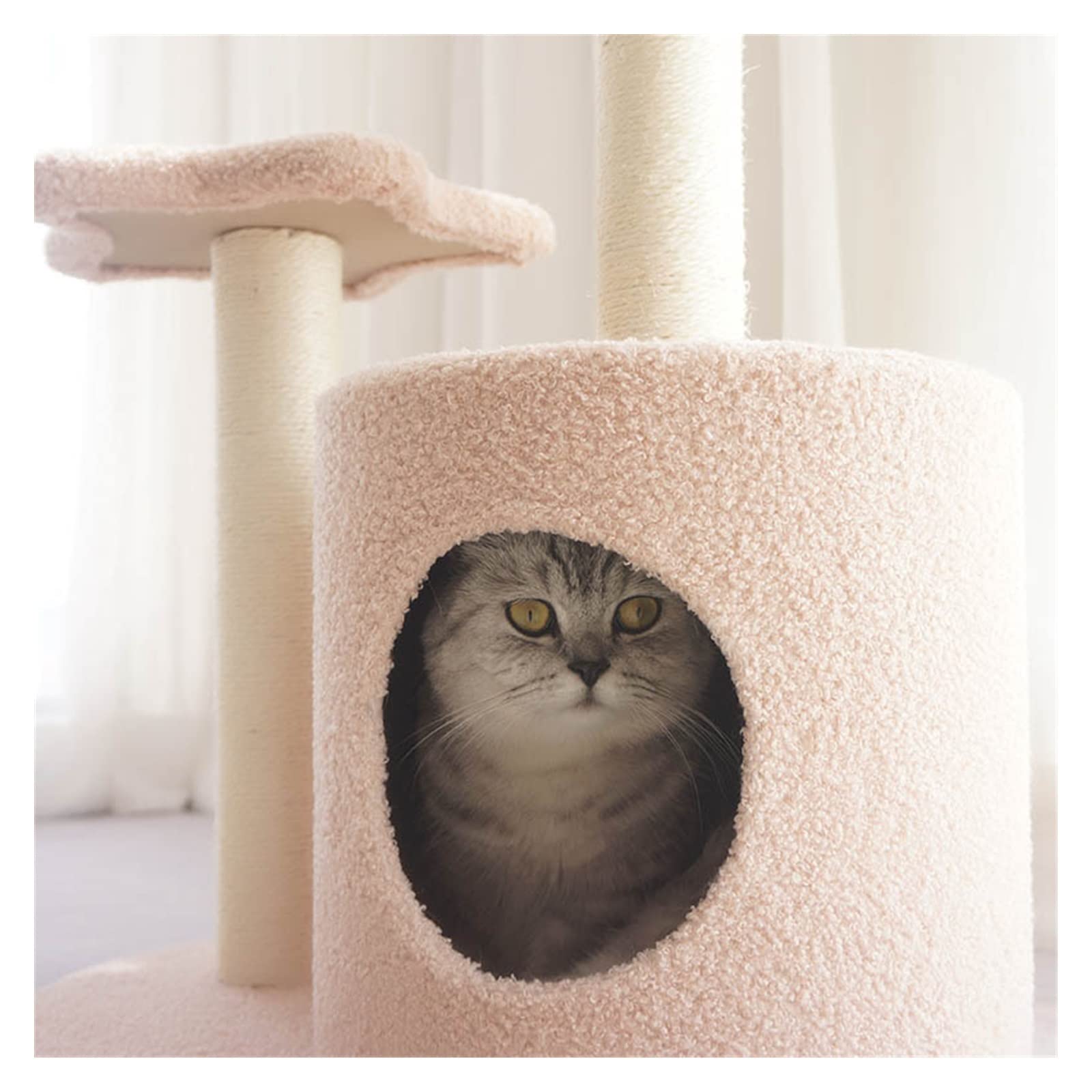 Centro de Actividades para Gatos Gato Villa Gato Marco de Escalada Arena for Gatos árbol una Pieza rascador Columna pequeño Juguete con Plataforma Salto