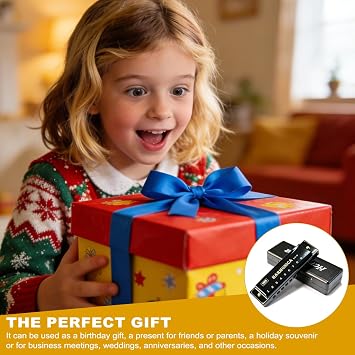 Blues Harmonica in C, 10 Hole 20 Tone Titanium Mini Diatonic Mouth Organ | with Case Black, Perfect Music Gift Adults Professionals Beginners Students