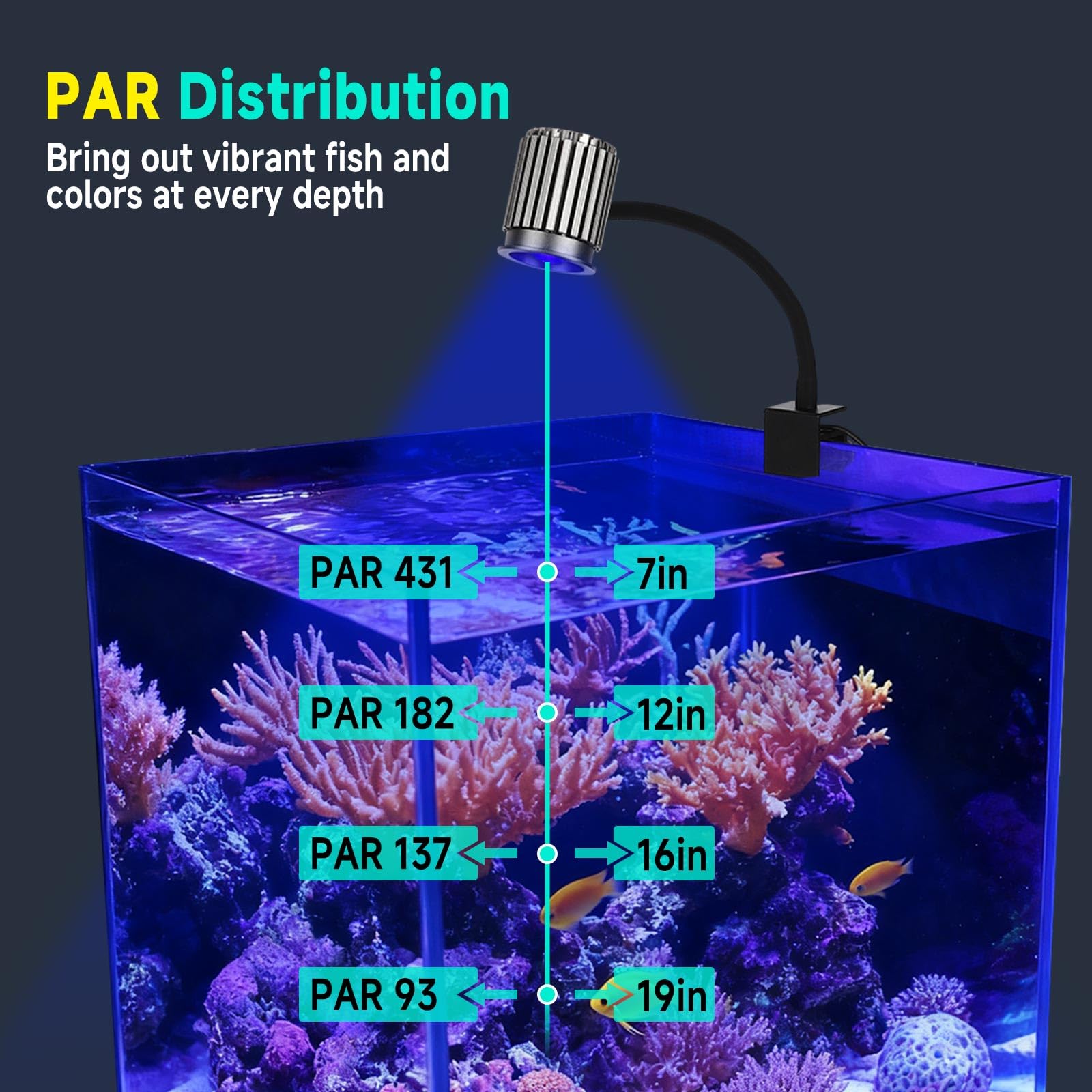 Clip On 24/7 Salzwasser-Aquarium-Licht, kleines Aquarium-Licht mit 3 DIY-Farben, 10 Helligkeitsstufen und 3 Timer-Einstellungen, flexible Aquarium-Lichter geeignet für Salzwasser