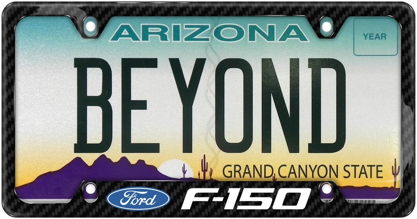 iPick Image for Ford F-150 Black Real Carbon Fiber 50 States License Plate Frame