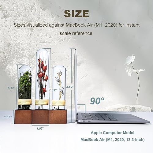 Miniatura 8 de 3 piezas de decoración de estantes de libros de flores secas, decoración de estantes bohemios, decoración de plantas pequeñas para estantes de