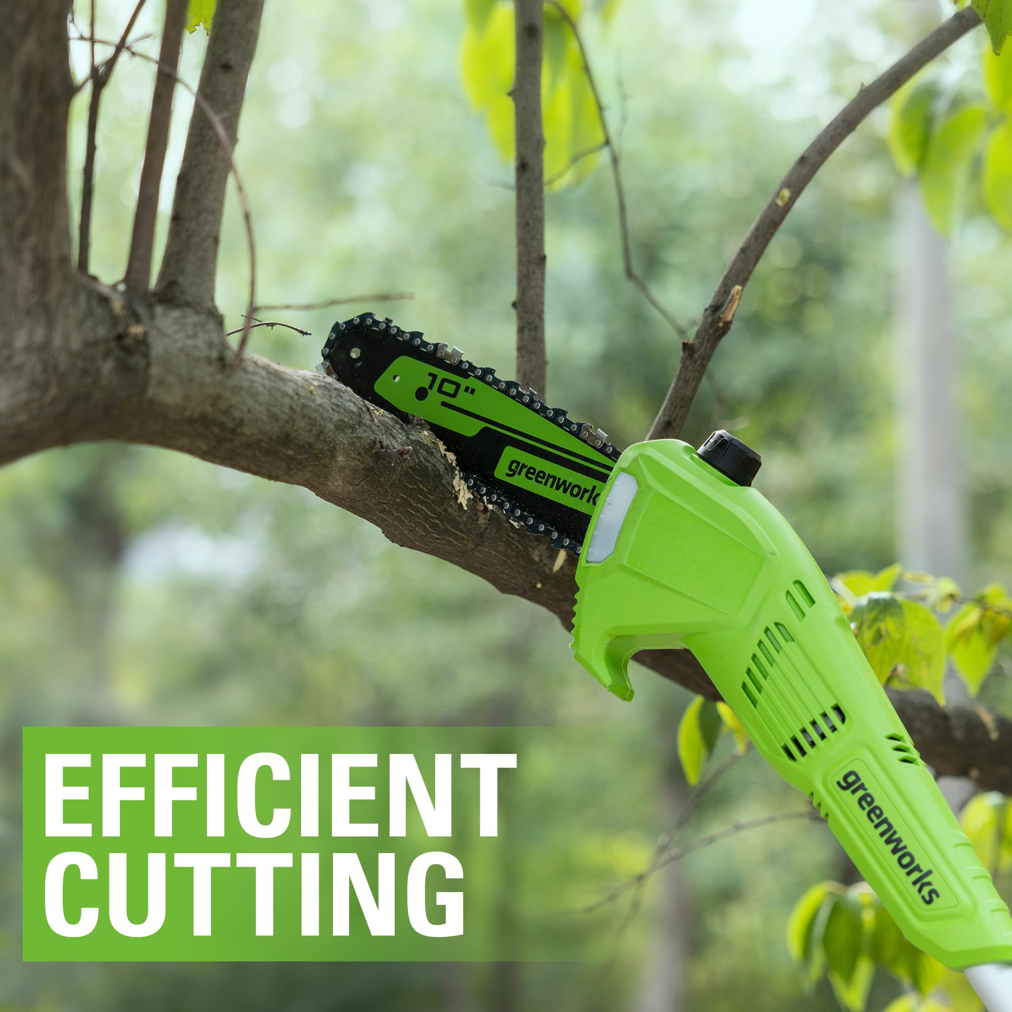 Amazon.com: Greenworks 10