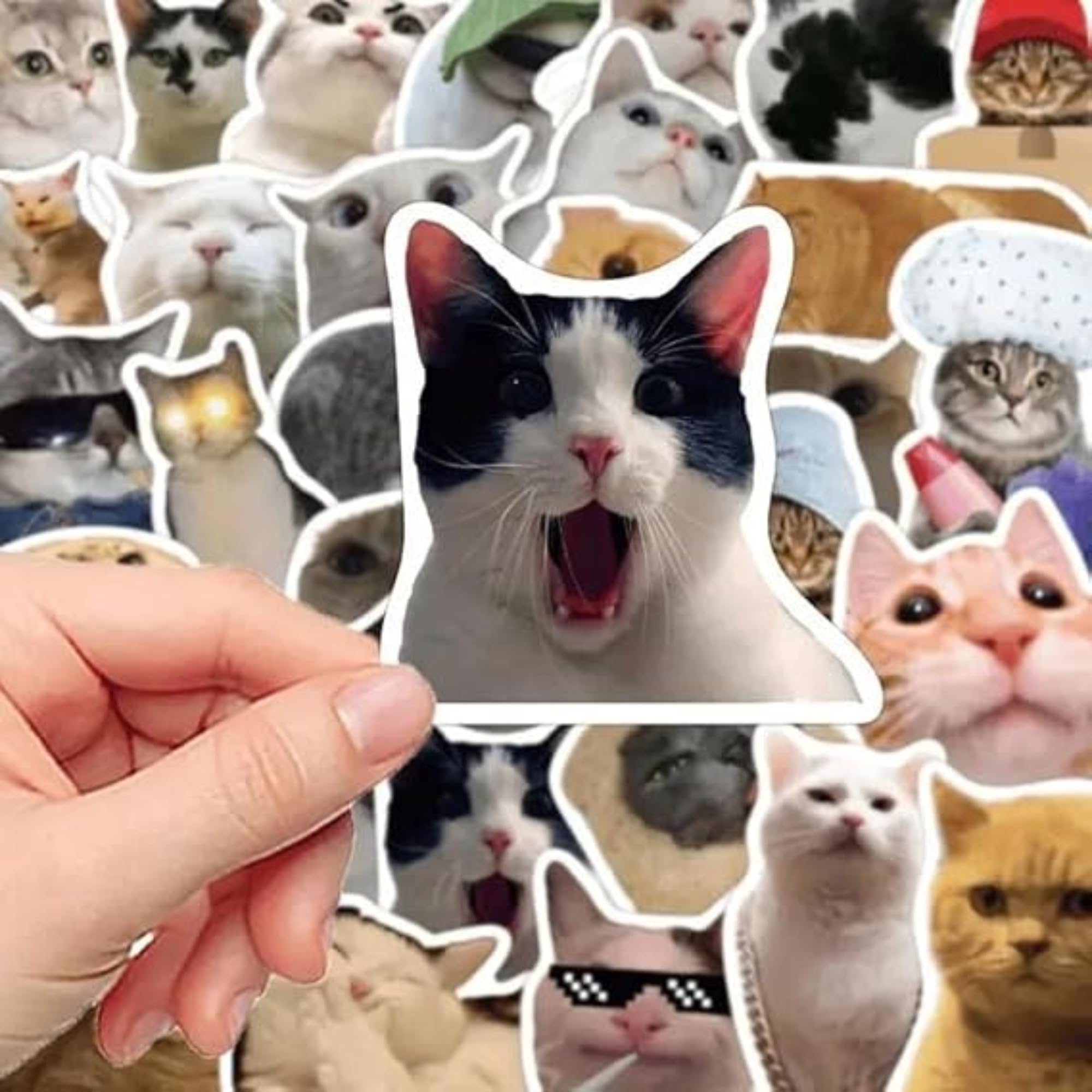 Snapklik.com : Cat Stickers,Funny Cat Meme, Kawaii For Adults ...
