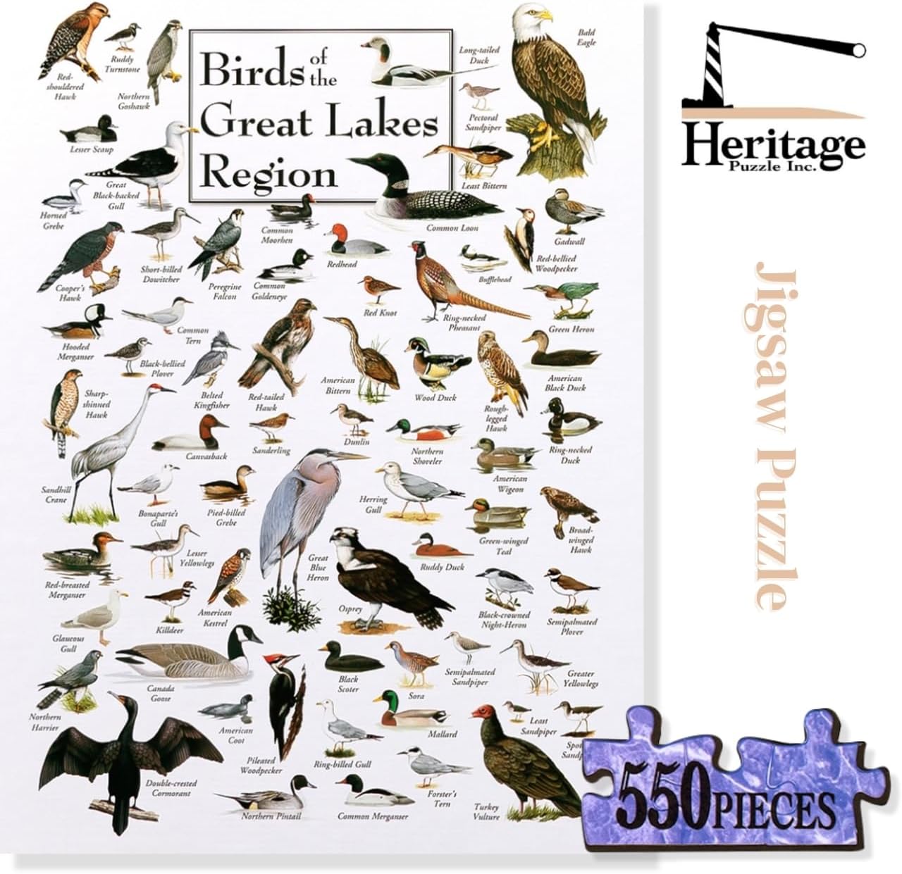 Heritage Puzzle - Birds of The Great Lakes Region by Ernest C. Simmons 550 Piece Puzzles for Adults - Educational Nature Wildlife Art - Frameable Jigsaw Puzzle 18" x 24" Finished Size