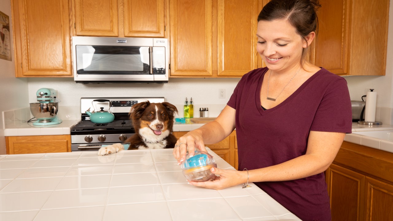 Pet Zone IQ Dog Treat Ball Interactive Dog Toy - 3" - for Dogs and Cats - Image 8