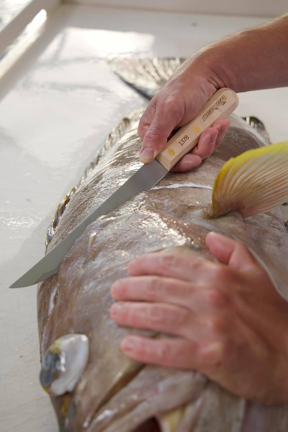 Dexter 9" Fillet Knife, Carbon Steel *