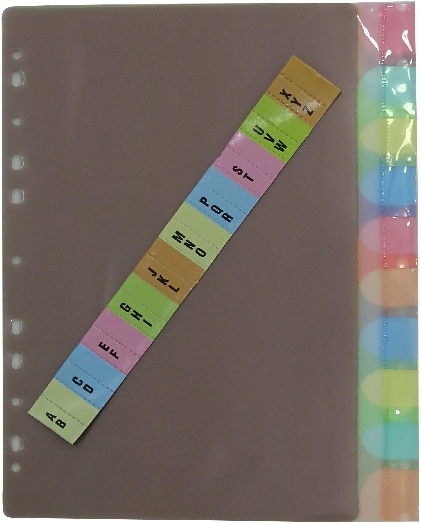 Clear Plastic Separator Survives Longer Than Paper Dividers 10-Tab Set, Multi Colors