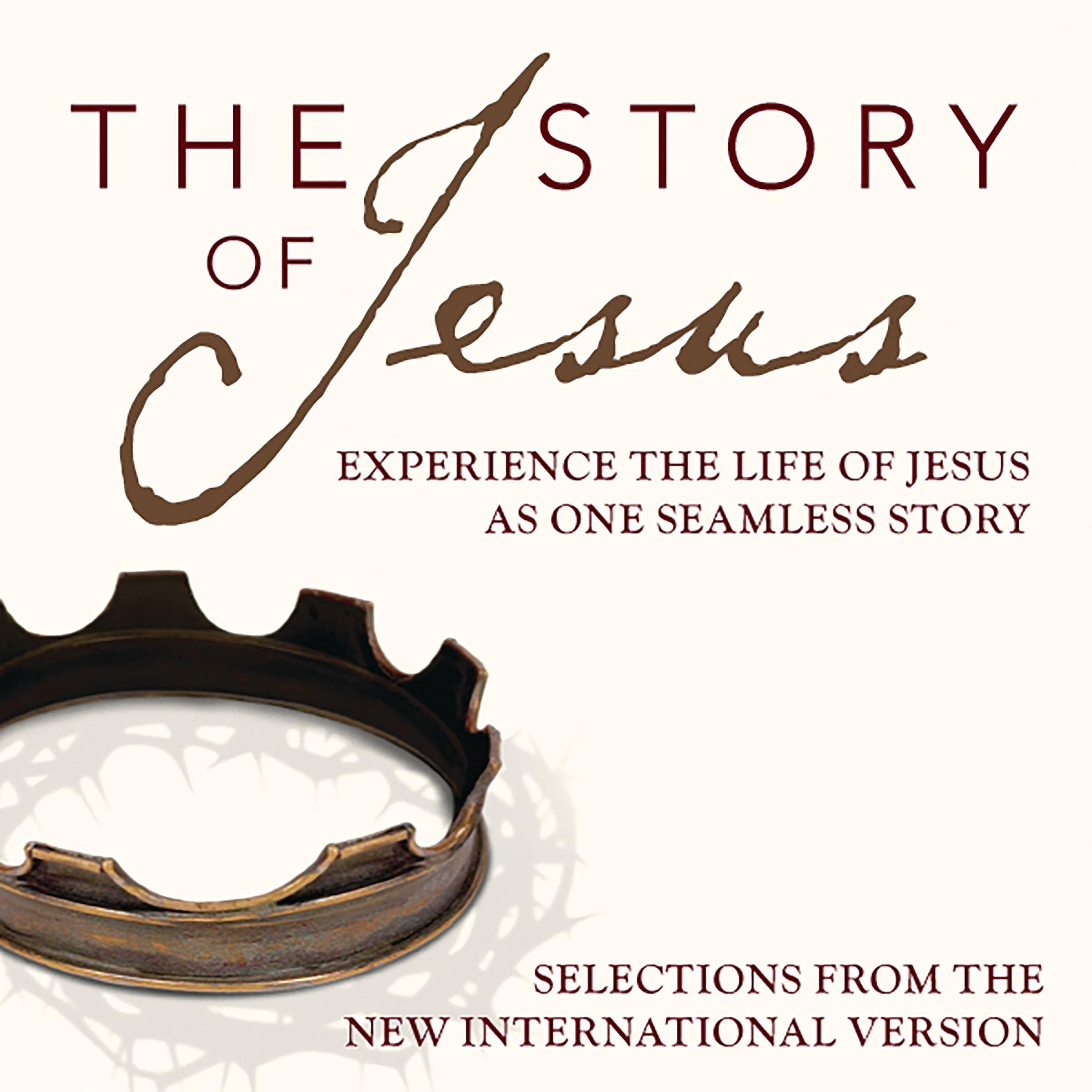 Cover art for The Story Audio Bible - New International Version, NIV: The Story of Jesus