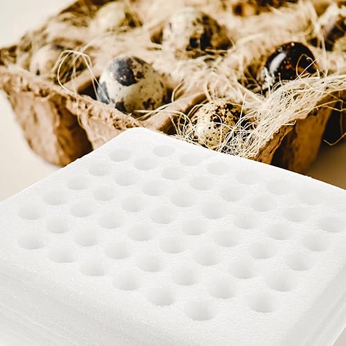 Miniatura 9 de Cabilock 4 cajas de huevos de codorniz, codorniz, gallina, apilable, caja de almacenamiento de huevos, caja de protección de huevos para
