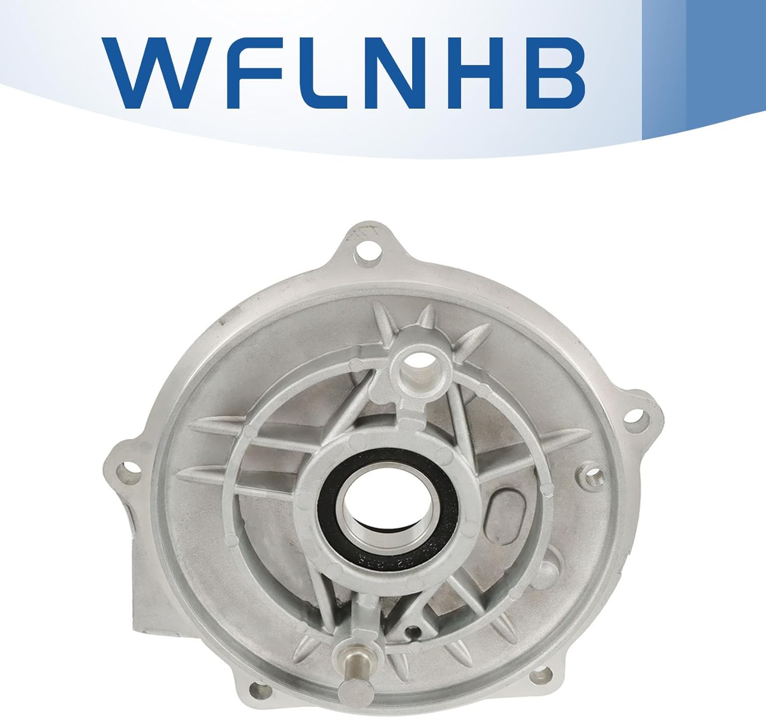 WFLNHB Rear Brake Plate Panel Cover Kit Replacement for Honda Sportrax 250 TRX250EX Recon 250 TRX250 TRX250X 1997-2022 Replacement for 43010-HM8-000 91055-HA0-681 91252-HM8-003