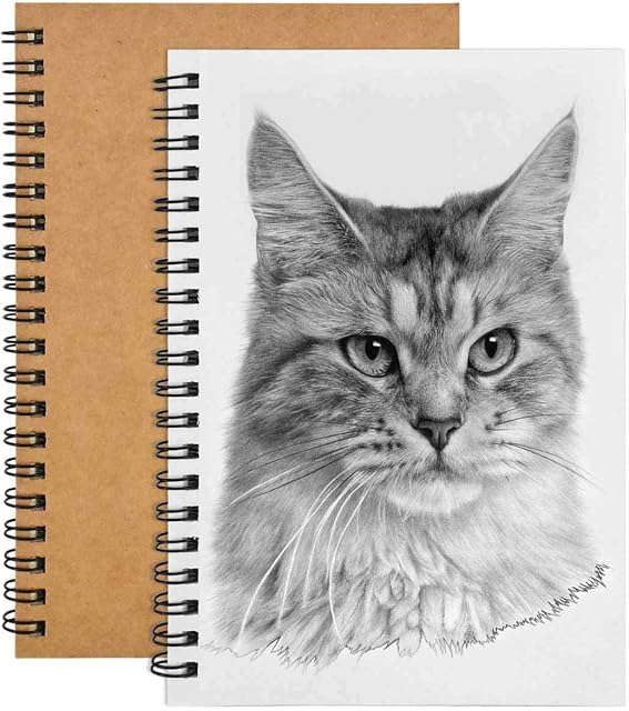 2 Pack Sketch Notebook, 200 Sides/100 Pages A5 Sketchbook, Blank Sketch Book Paper, Kraft Cover Spiral Bound Drawing Artist Pad for Boys Girls Painting Watercolor,Journalr,Drawing Landscape