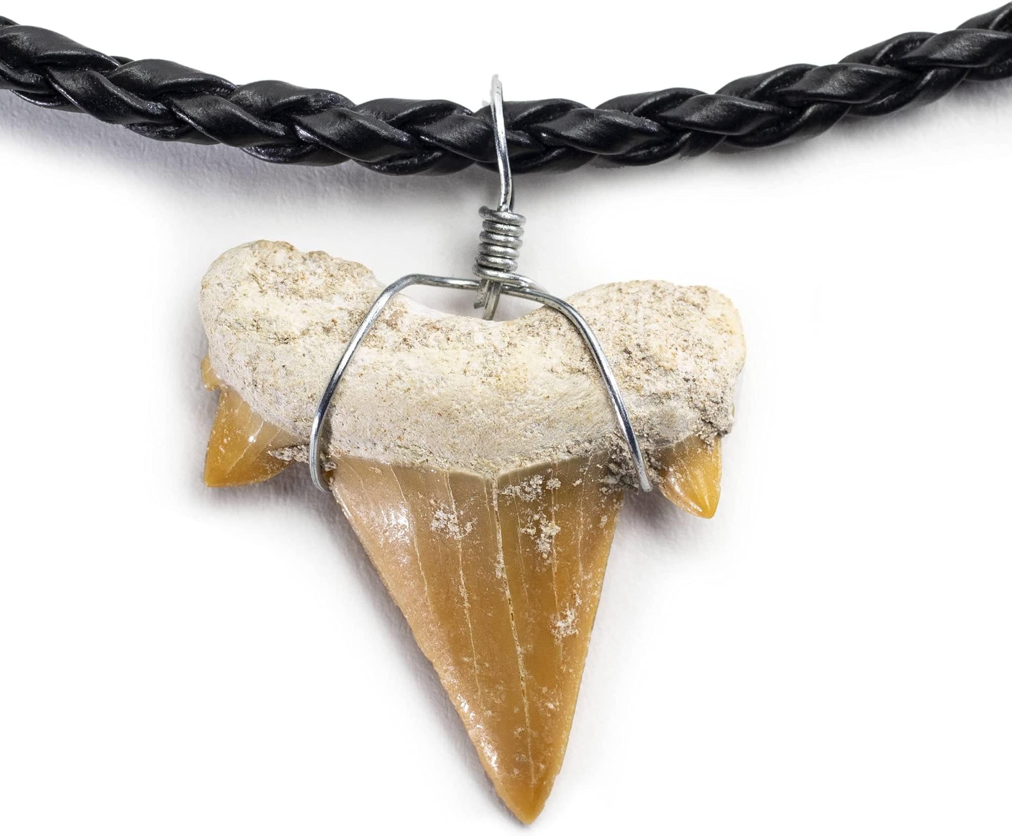 Fossilized Shark Tooth Necklace - Authentic Prehistoric Shark Teeth Fossil Pendant on 18" Inch Braided Leather Cord - Great Gift for Men (Information Card Included)