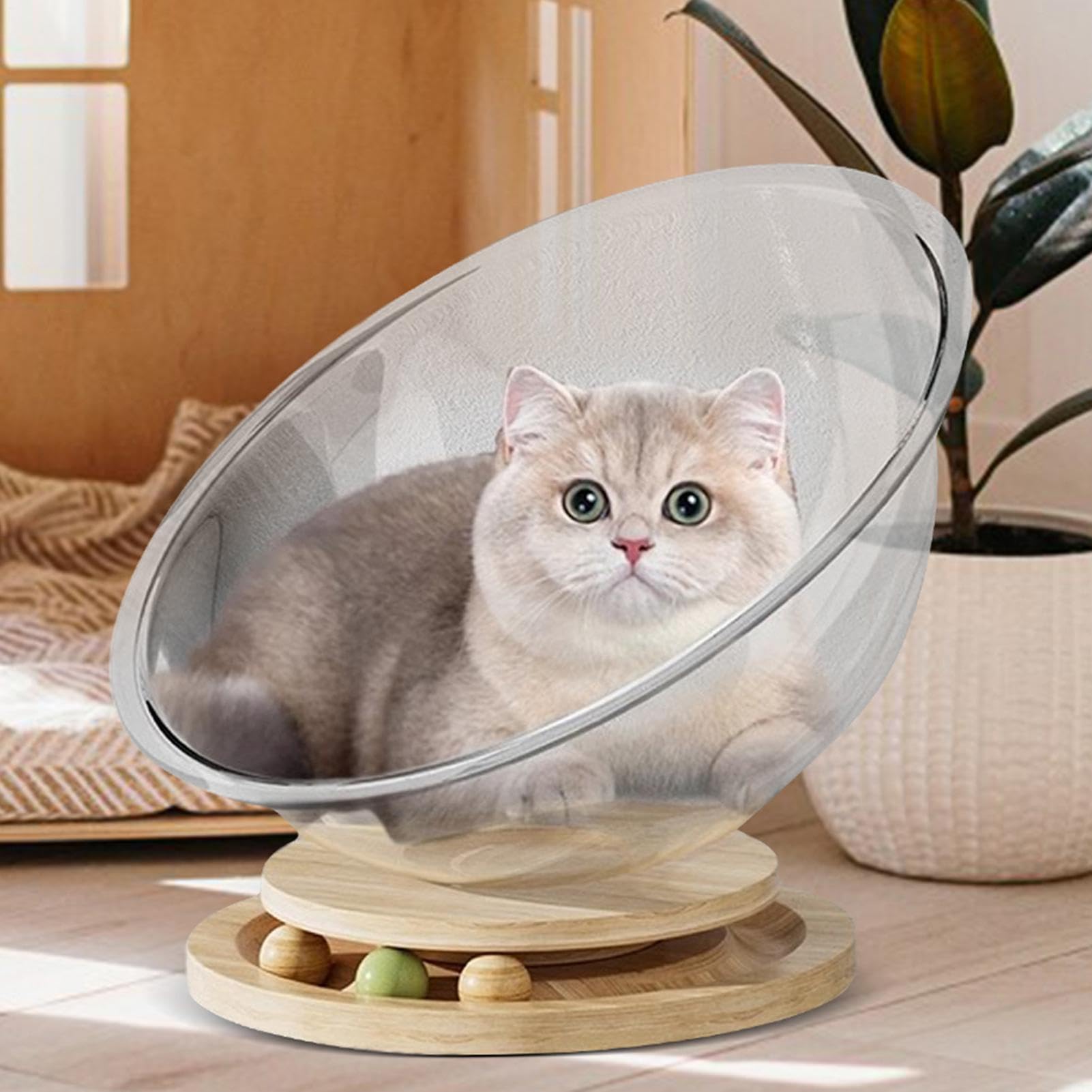 Perchoir pour chat – Hamac mignon pour fenêtre, reposant pour animal