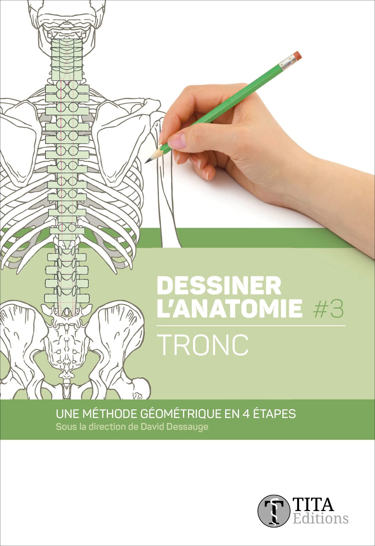 Dessiner l'anatomie du tronc facilement avec la méthode géométrique pas à pas