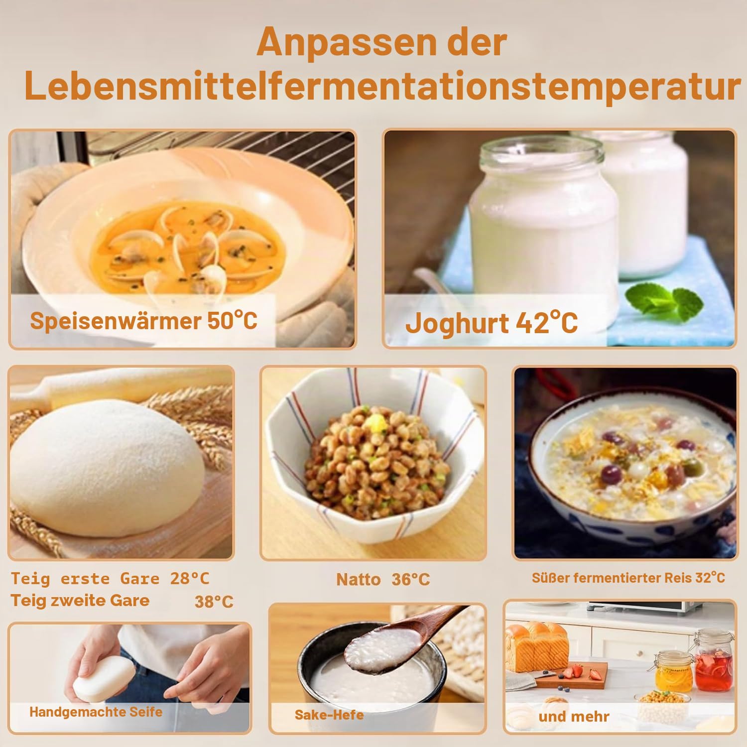 Kommerzieller Brotgärschrank 40 L Gärschrank Aus Edelstahl Mit Präziser Temperatur (20–50 °C) Feuchtigkeitskontrolle For Sauerteig Handwerklich Hergestelltes Brot Pizzateig Und Gebäck(220v)