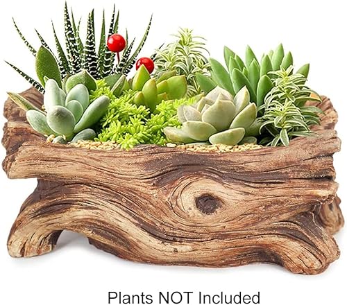 Miniatura 2 de Maceta hecha a mano Dahlia, de concreto, con aspecto de madera de deriva, para plantas, flores, suculentas o bonsáis