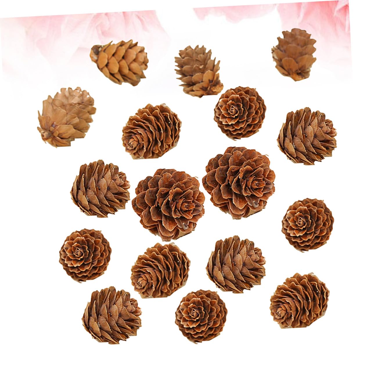 210 Piezas Mini Piñas Naturales de Pino Decoración Rústica de Hogar Manualidades y Adornos Navideños de Acción de Gracias