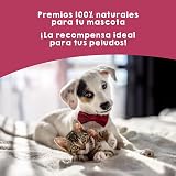 Ver la foto 3