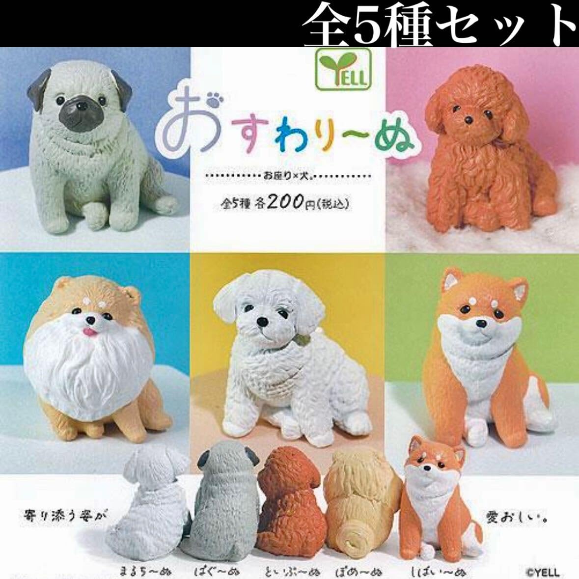 Amazon.co.jp: おすわり〜ぬ 全5種セット /おすわりーぬ/犬/イヌ/いぬ