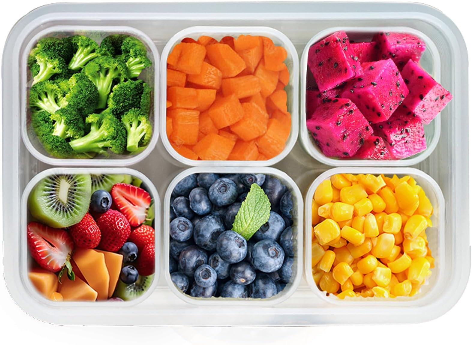 2Pack Divided Veggie Tray with Lid and Handle 4 Compartment