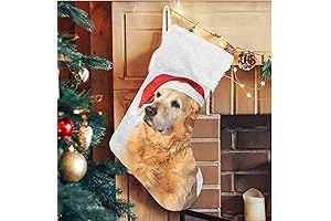 ALAZA Golden Retriever Dog Christmas Stocking