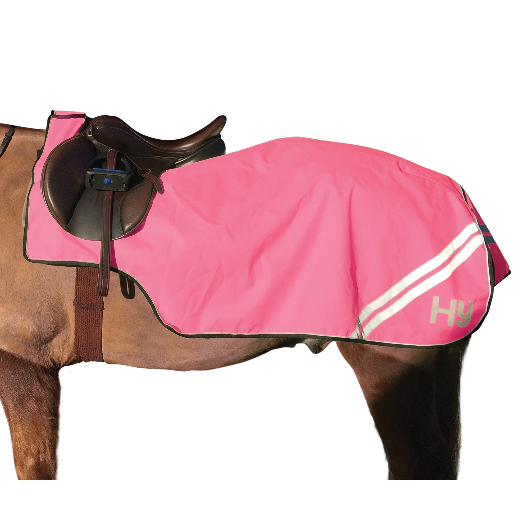 HyVIZ Hoja de Ejercicio de Caballo Reflector (4´ 9) (Rosa), rosa, Talla única